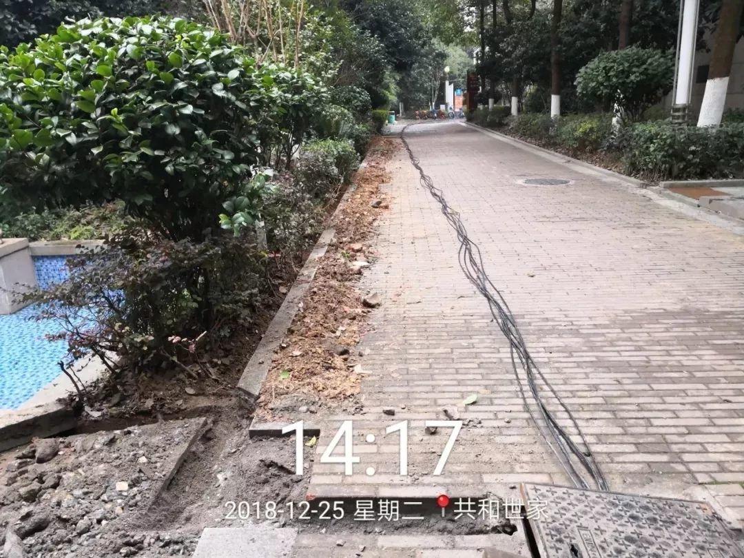 共和世家数字高清安防监控系统、广播系统正式投入使用 共和世家数字高清安防监控系统、广播系统正式投入使用